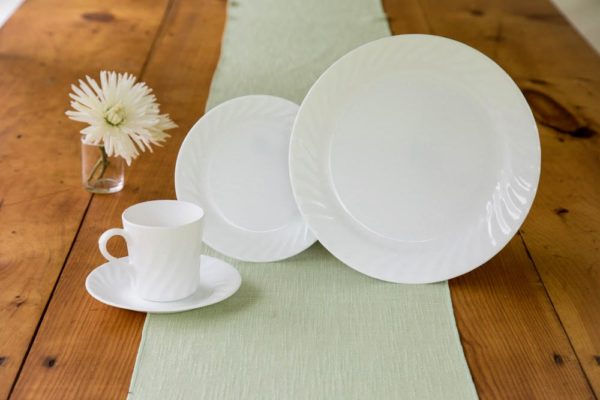 Plates to Rent Mahaiwe Tent Great Barrington, MA