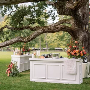 Wedding bars to rent Mahaiwe Tent