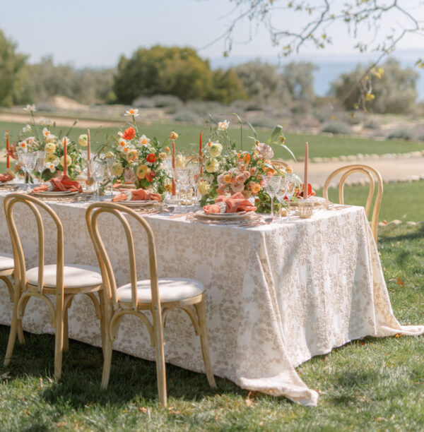 Specialty linen to rent mahaiwe tent